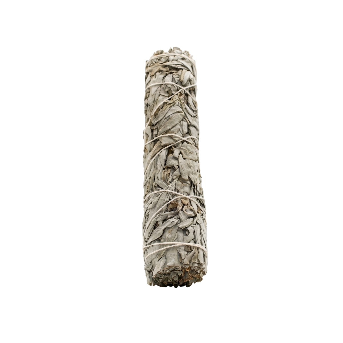 White Sage 9 inch