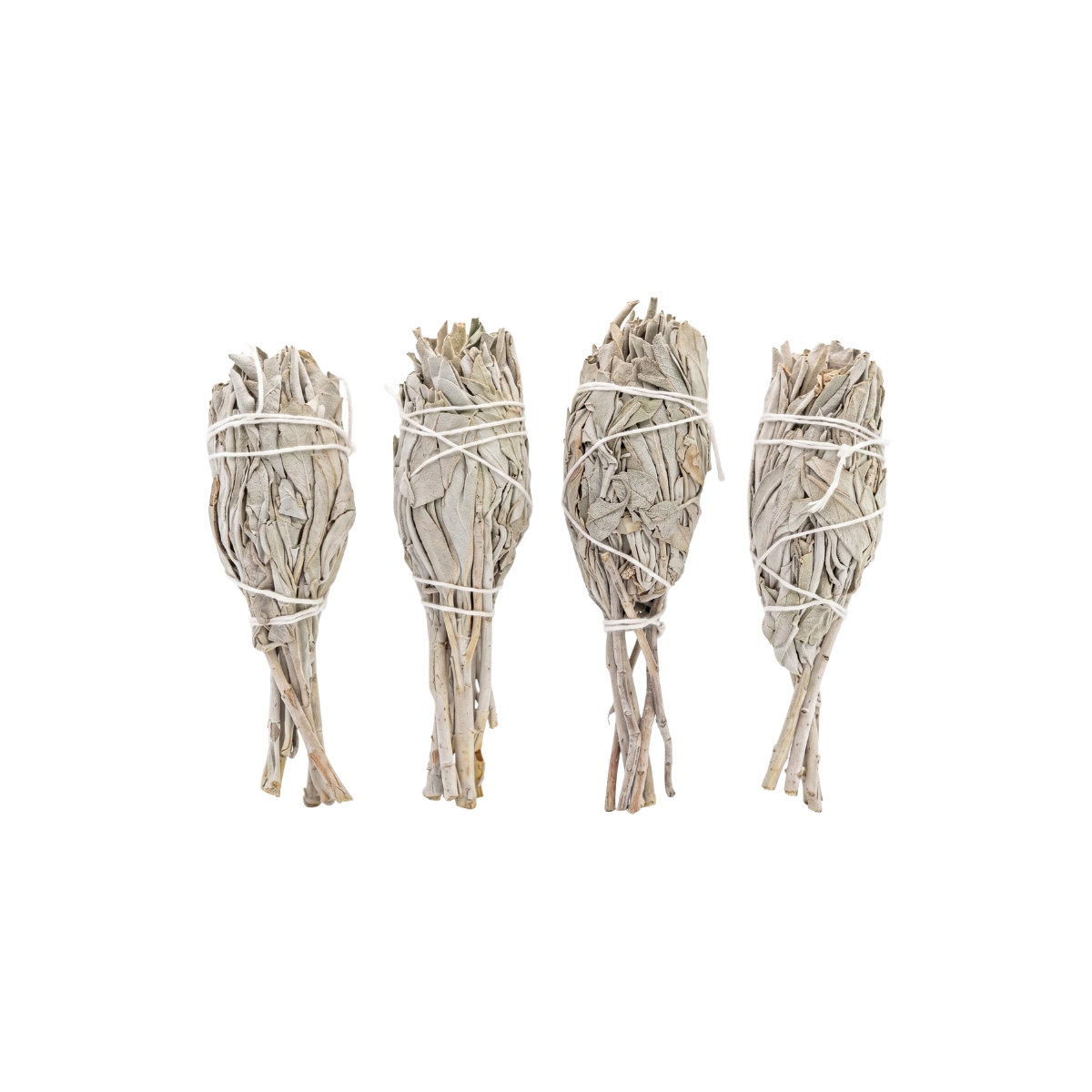 White Sage Torch 10cm