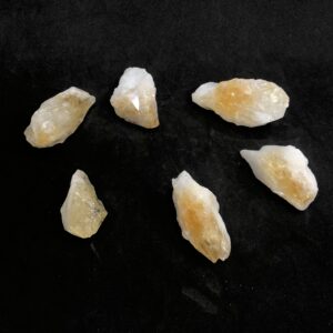 MINERALS & FOSSILS Product Name