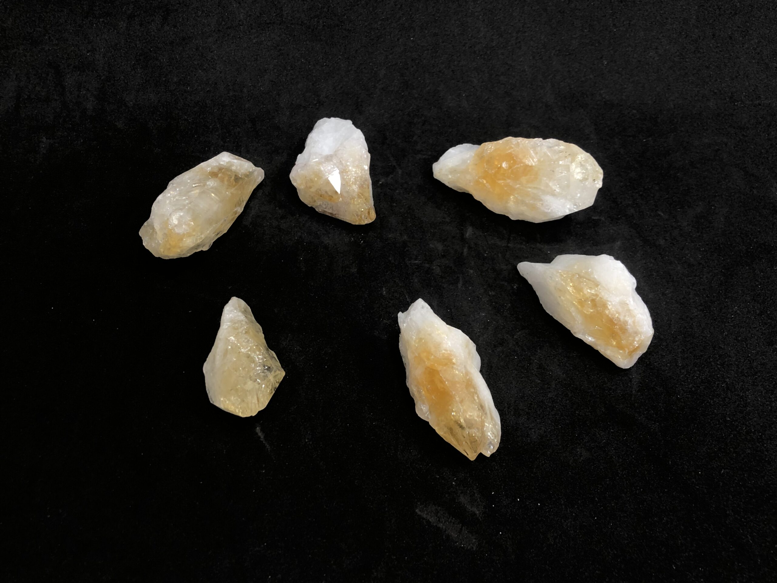 MINERALS & FOSSILS Product Name