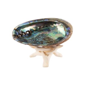 Abalone Shell with Wooden Stand Incense Holder and Sage Smudge Bowl for Cleansing